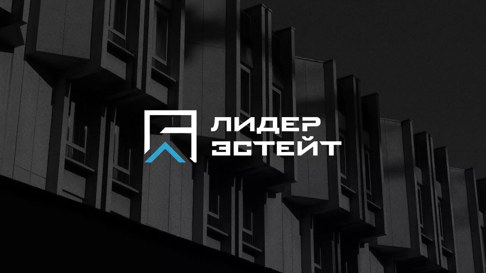 Разработка логотипа агентства недвижимости «Лидер Эстейт» в Киржаче